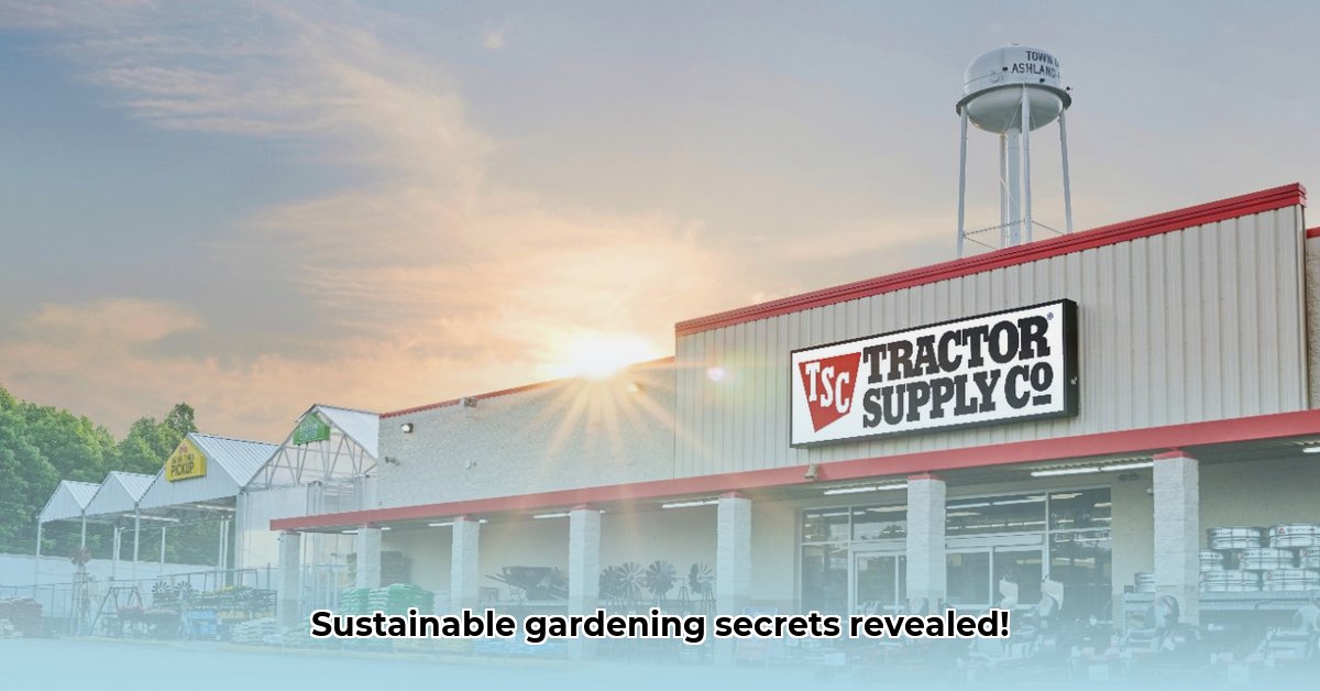 tractor-supply-ashland-virginia